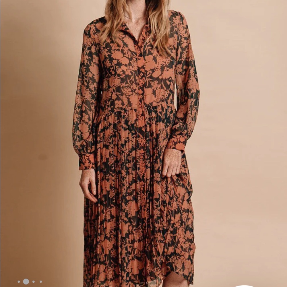 The Shirt by Rochelle Behrens pleated chiffon dress